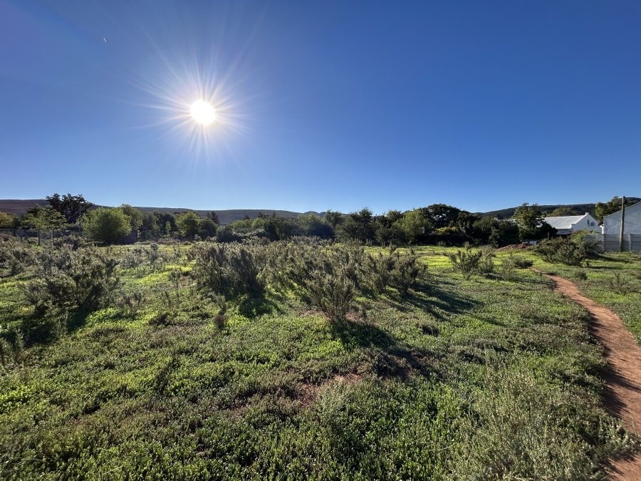 0 Bedroom Property for Sale in Mcgregor Western Cape